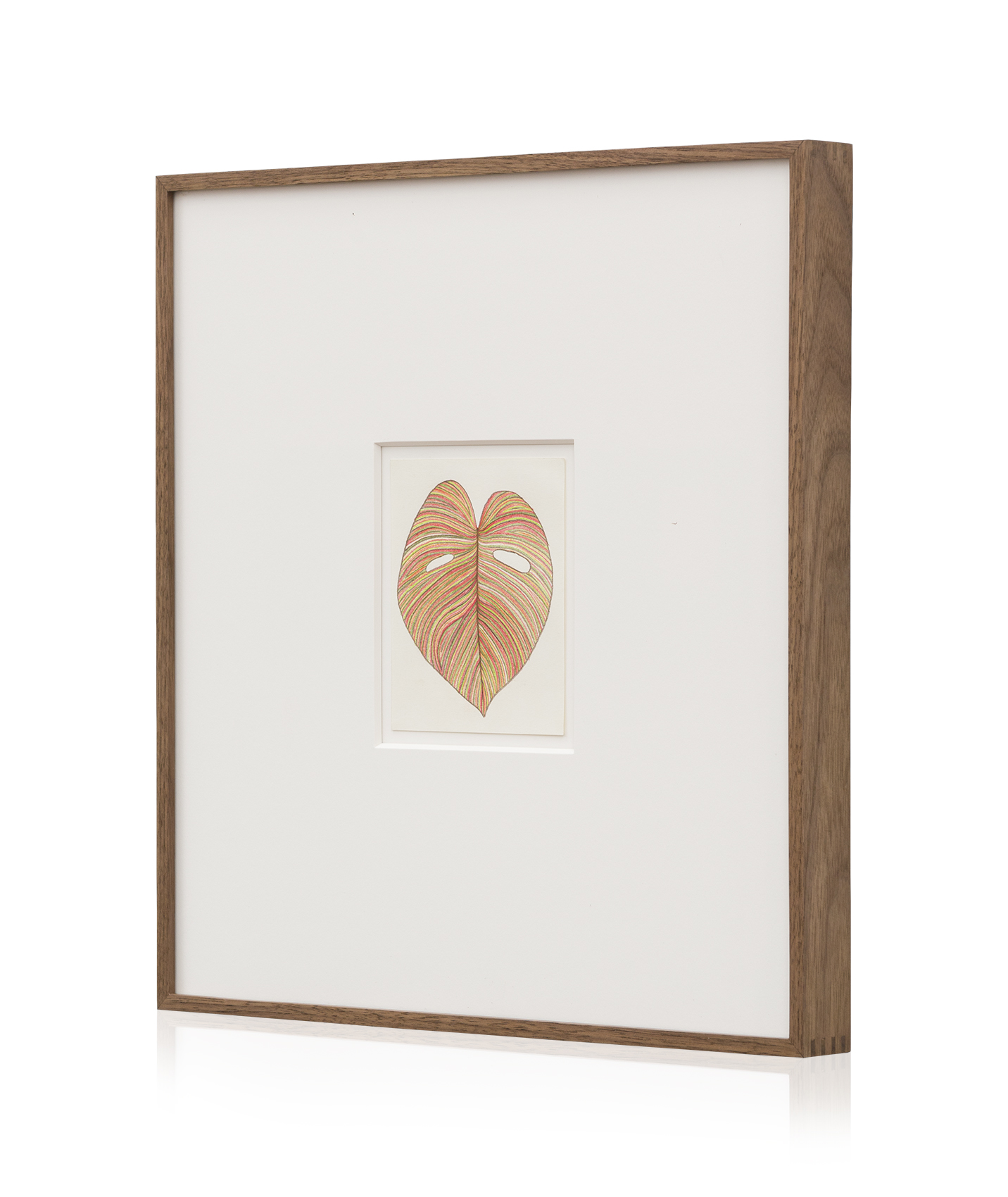 Monstera Drawing Solo 5_2